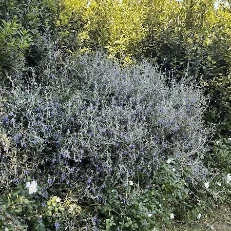 Fienile La Quiete, Tuscany Design Loft Villa *
